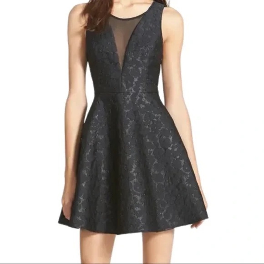 Astr Jacquard Deep V-neck Mesh Plunge Mini Fit and Flare Skater Dress in Black